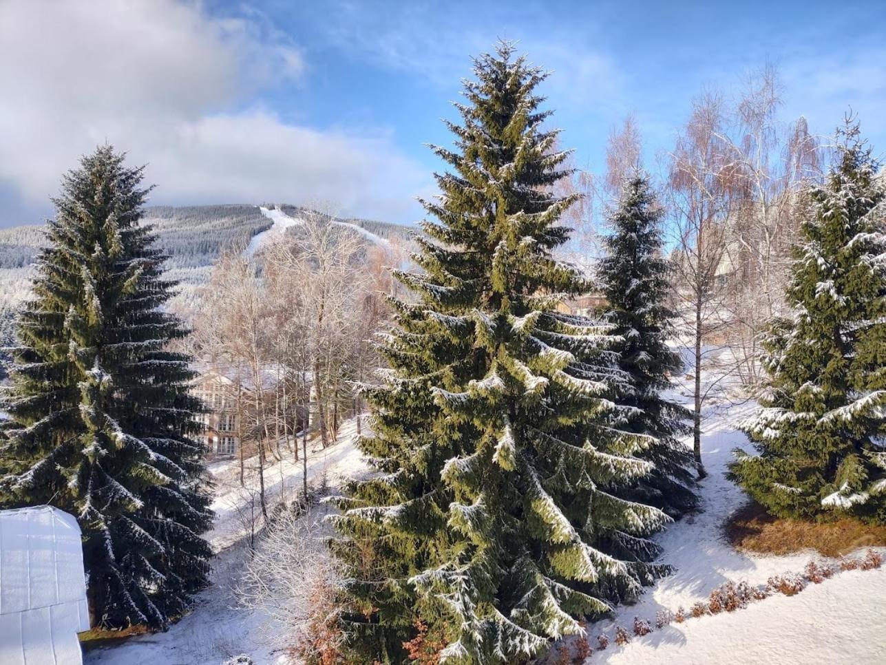 Pension Kubu Apartment 3 Samostatny Byt S Kuchyni Špindlerŭv Mlýn 외부 사진